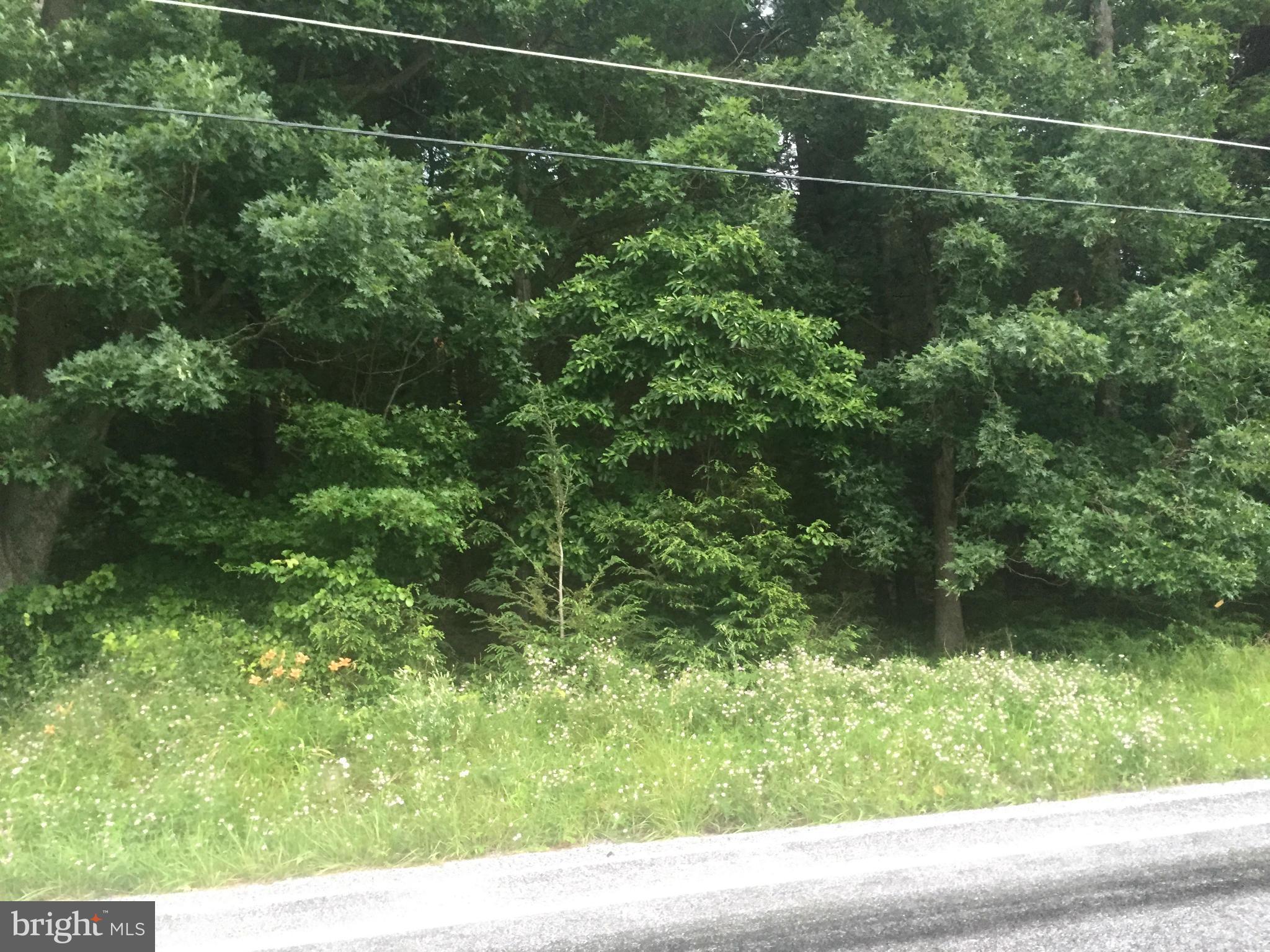 FRANKLIN TOWNSHIP - Land