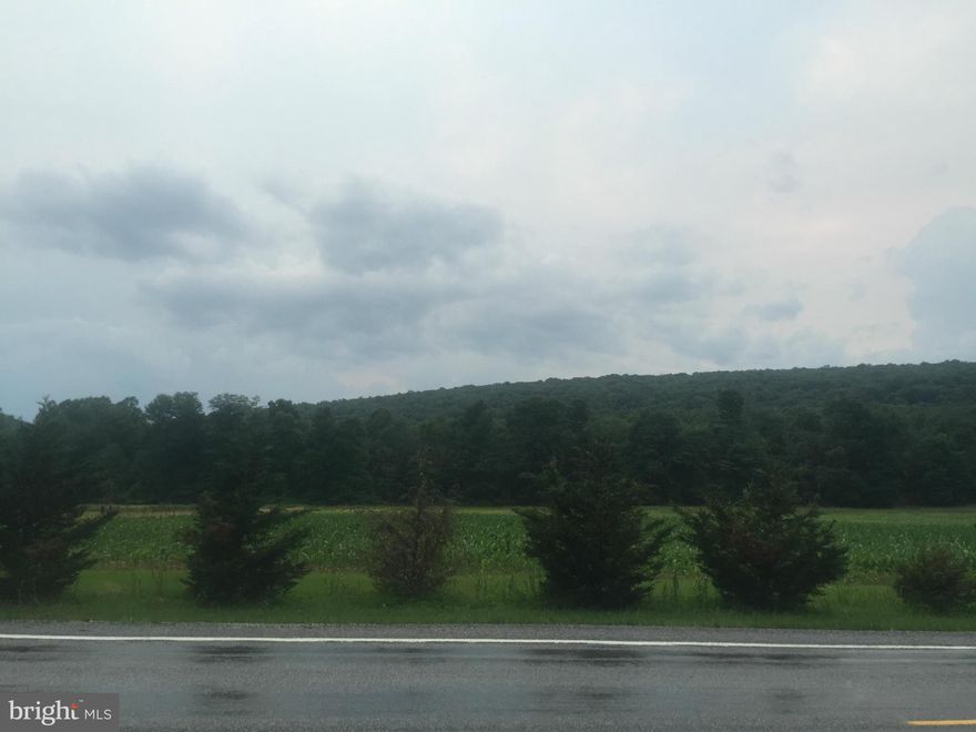 1.84 acre wooded lot with well and perc