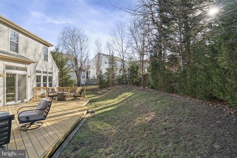 listing image 46