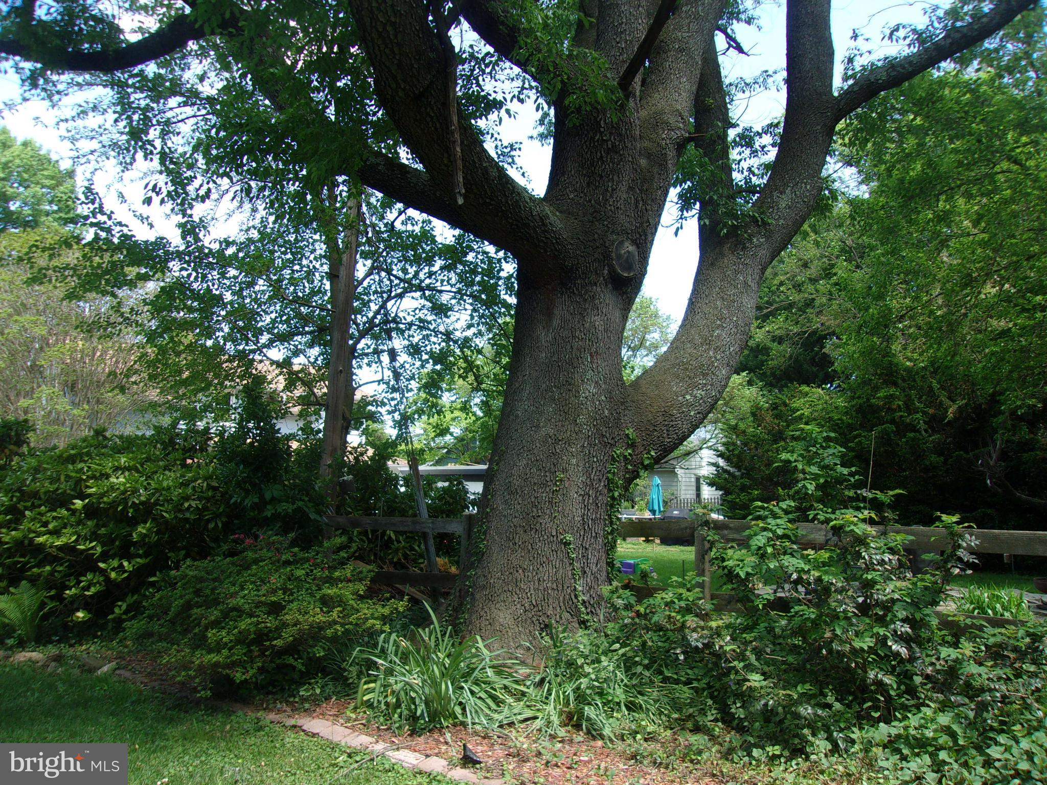 REALTY PARK - Residential