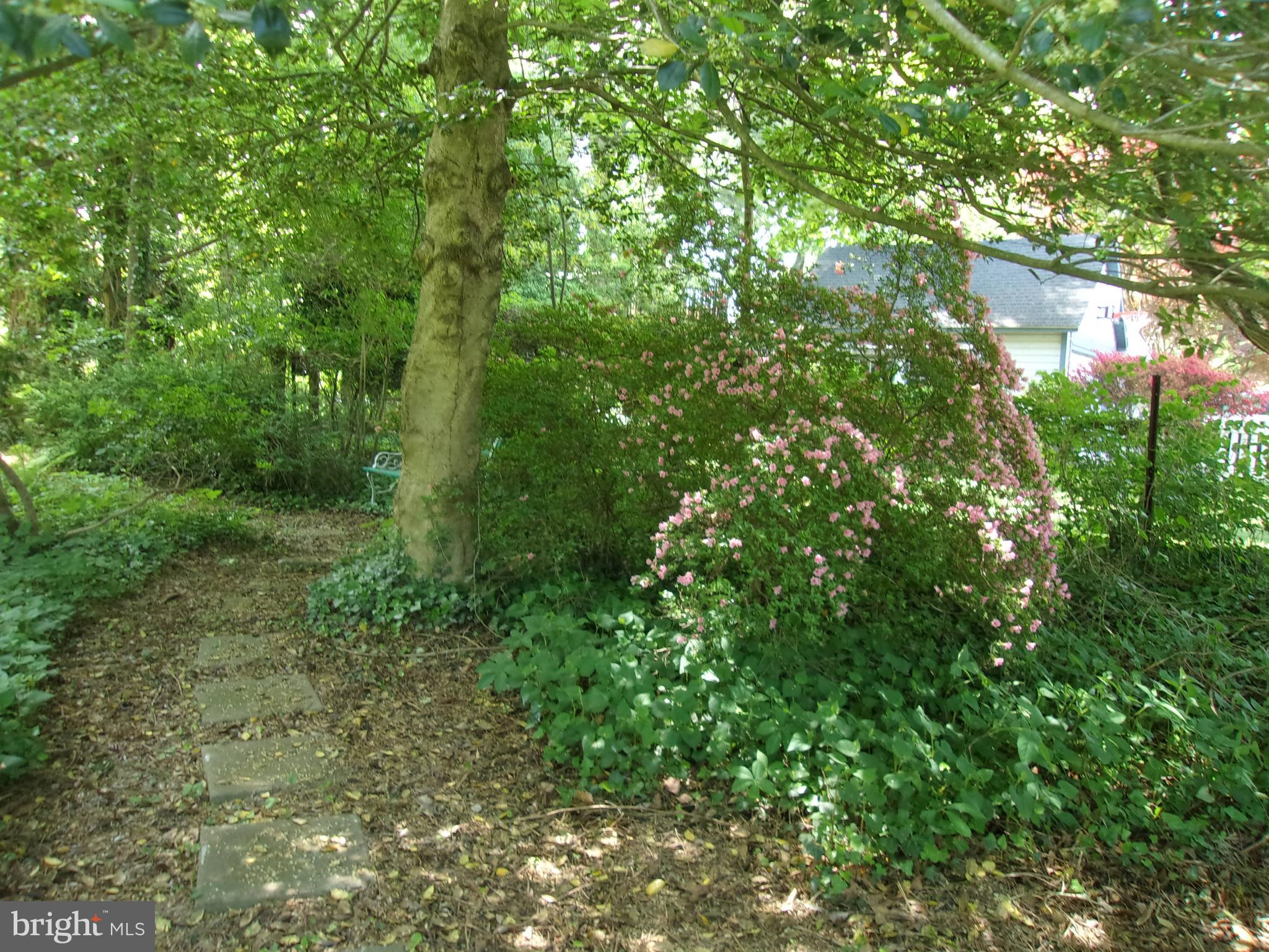 REALTY PARK - Residential