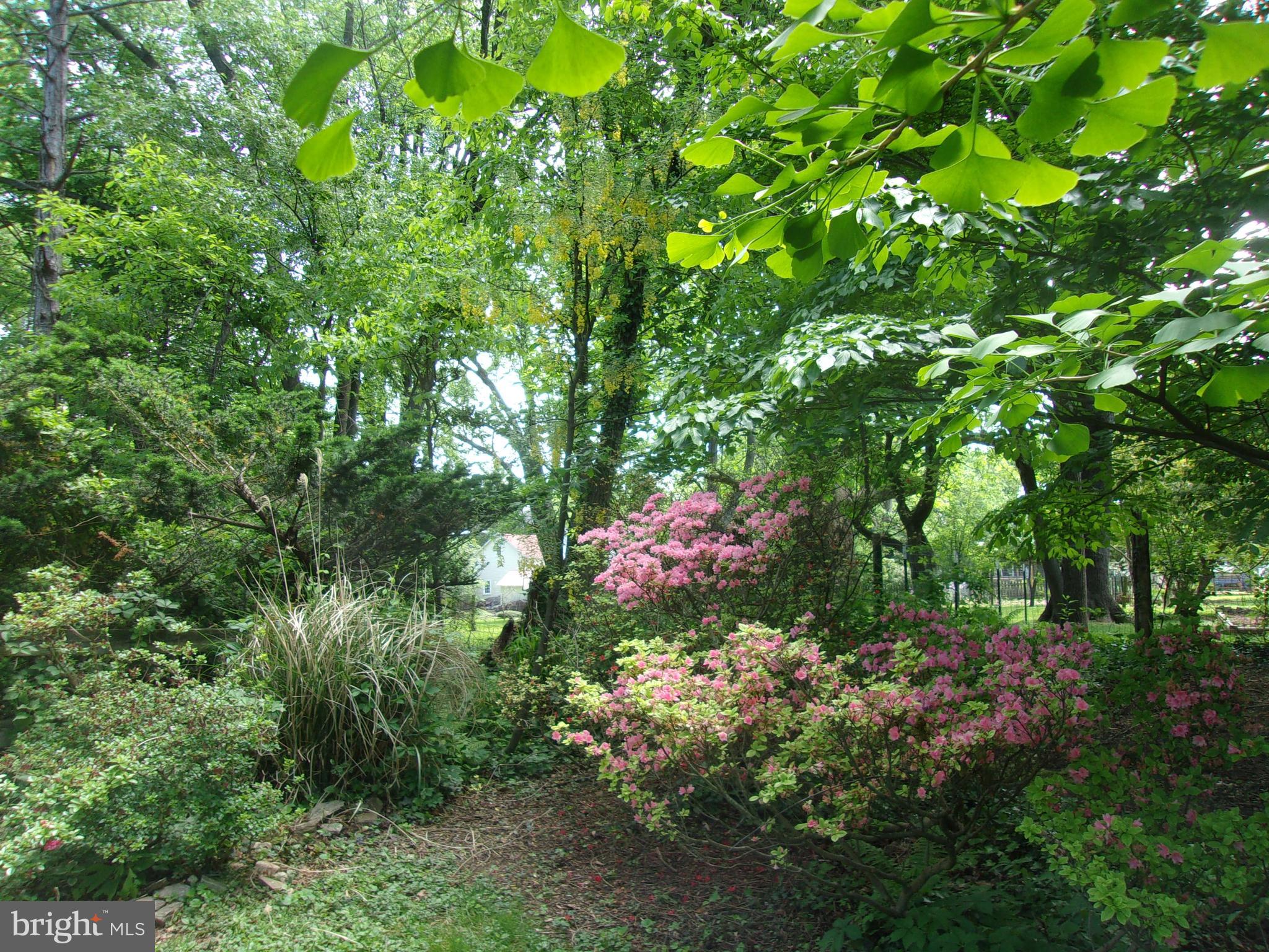 REALTY PARK - Residential