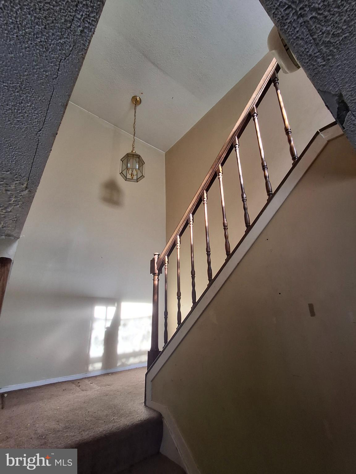 WILSON PARK - Residential