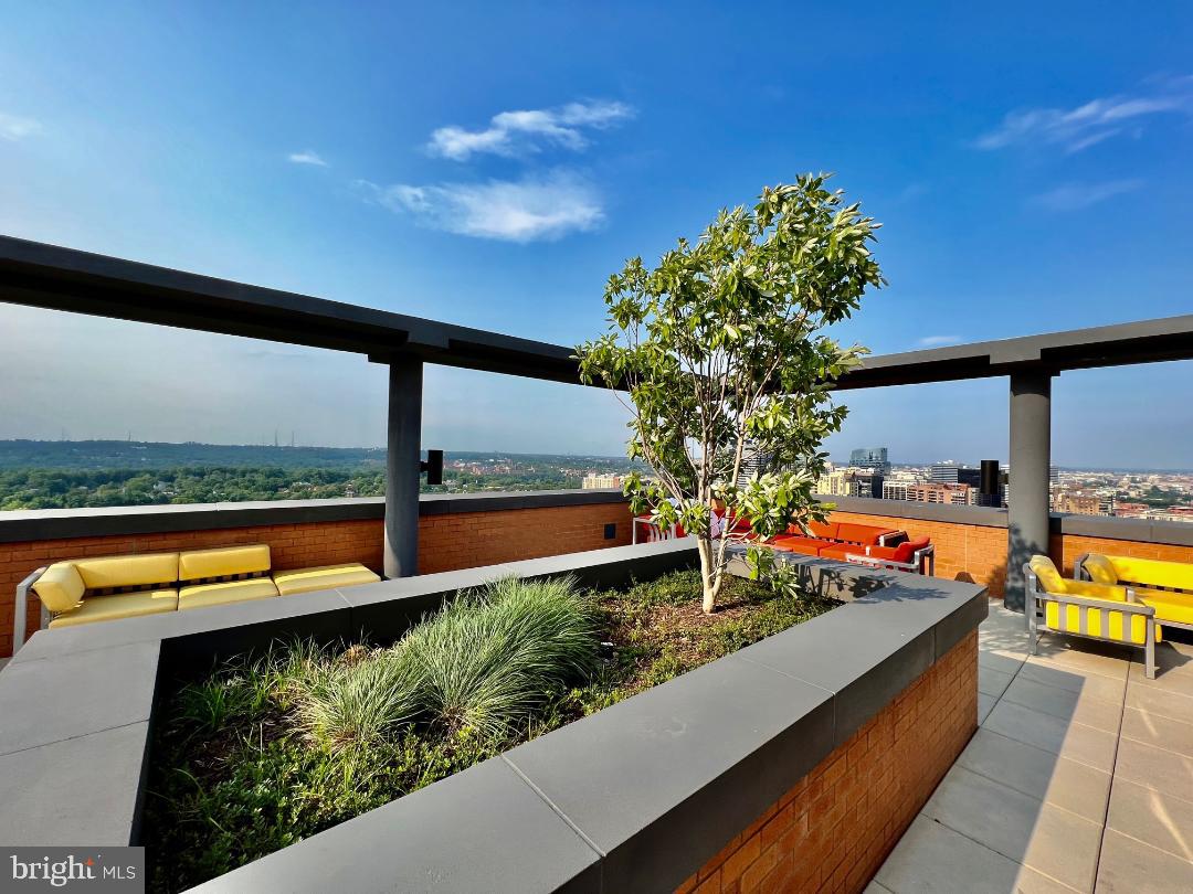 COURTHOUSE - Residential Lease