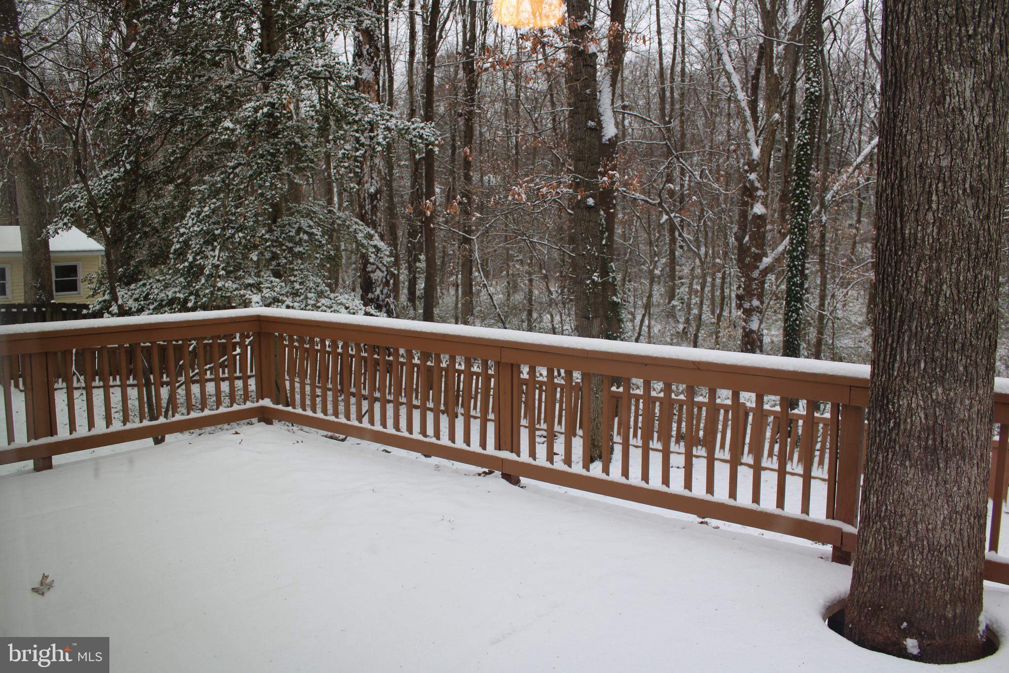 SHERATON HILLS EAST - Residential Lease