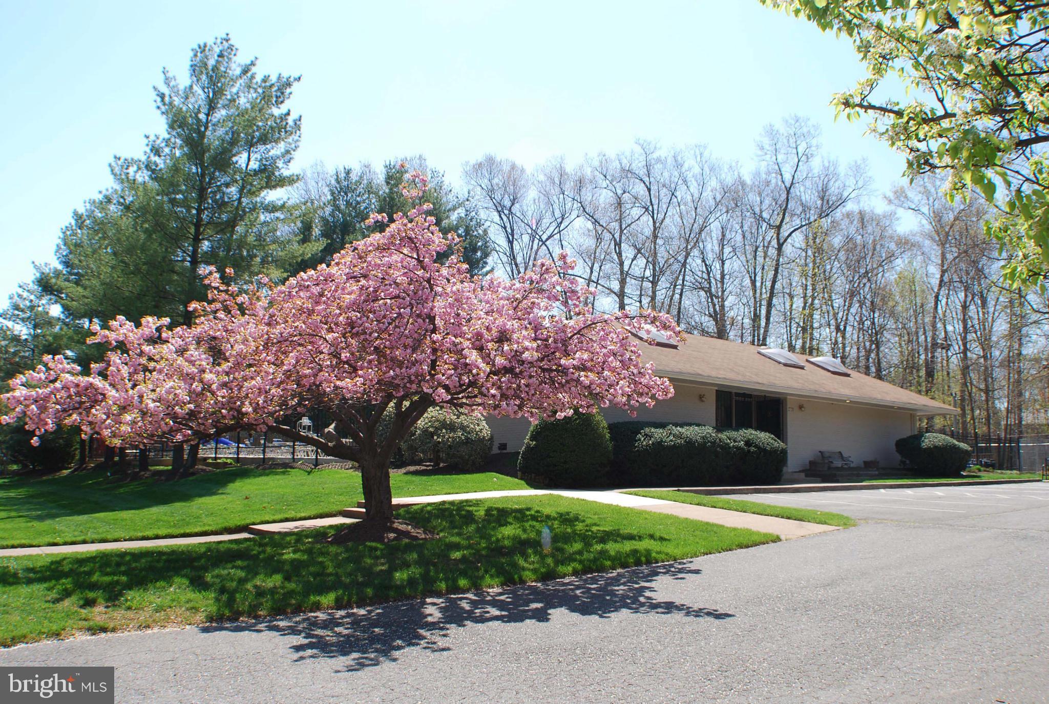 FOX MILL ESTATES - Residential