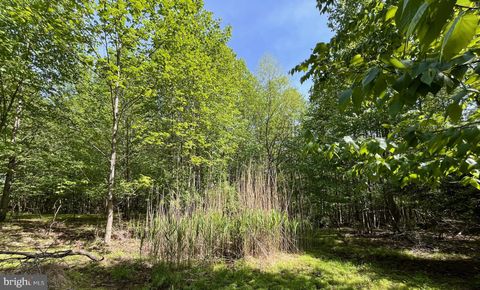 Vacant Land For Sale - 7893 Leaser Road<br/> KEMPTON, PA 19529