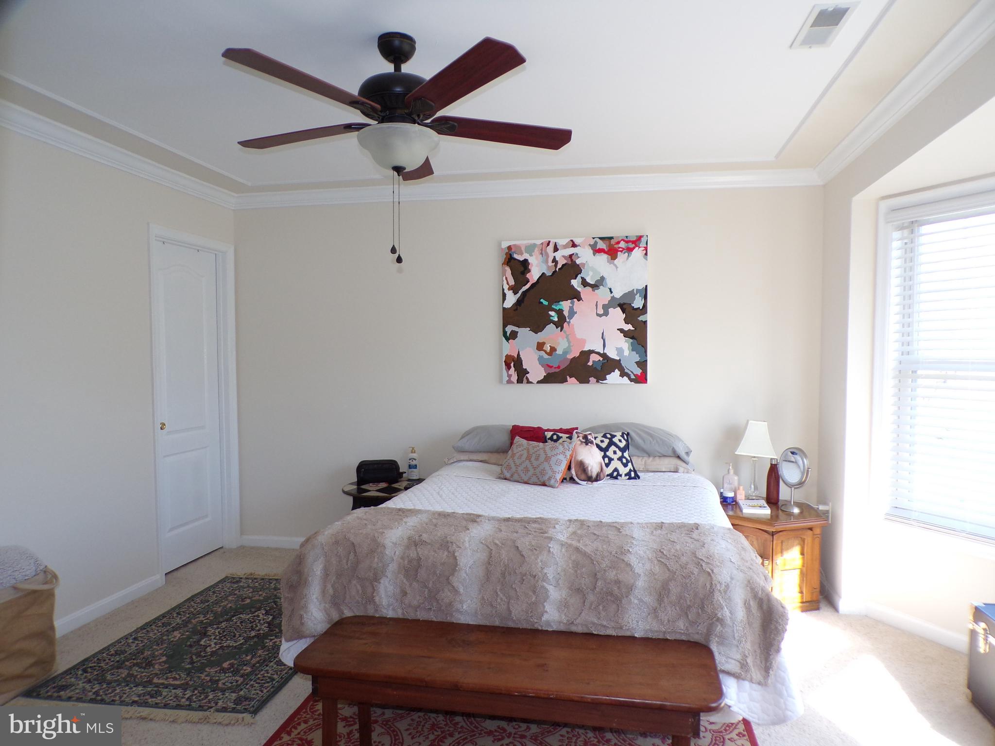 AMBER WOODS - Residential