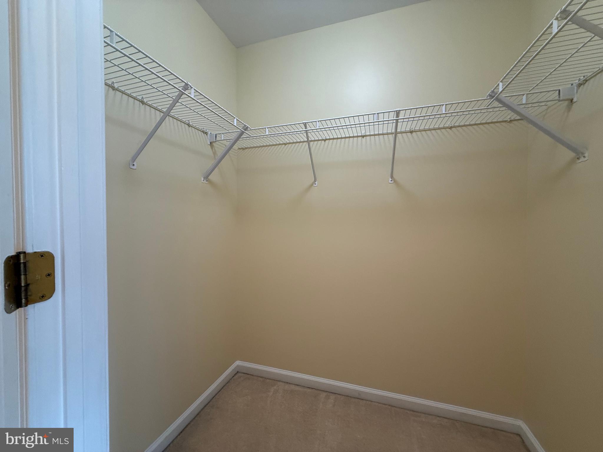 BRANDYWINE @ THORN - Residential