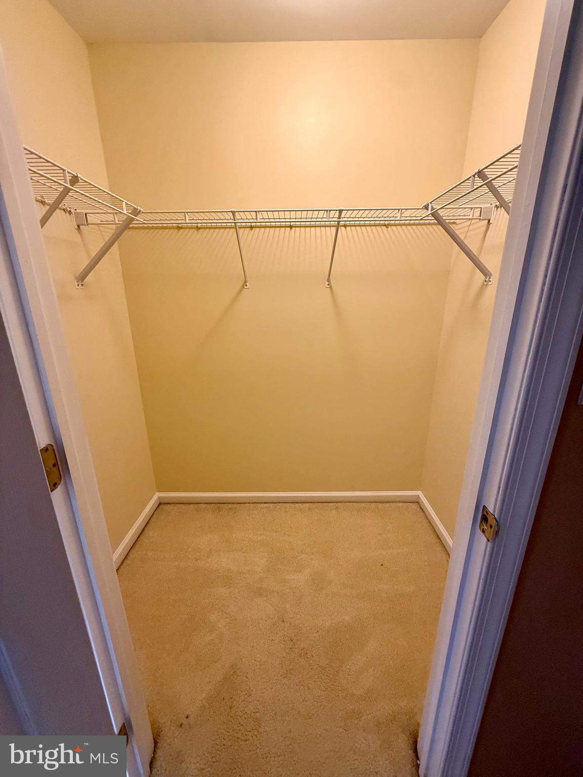 BRANDYWINE @ THORN - Residential