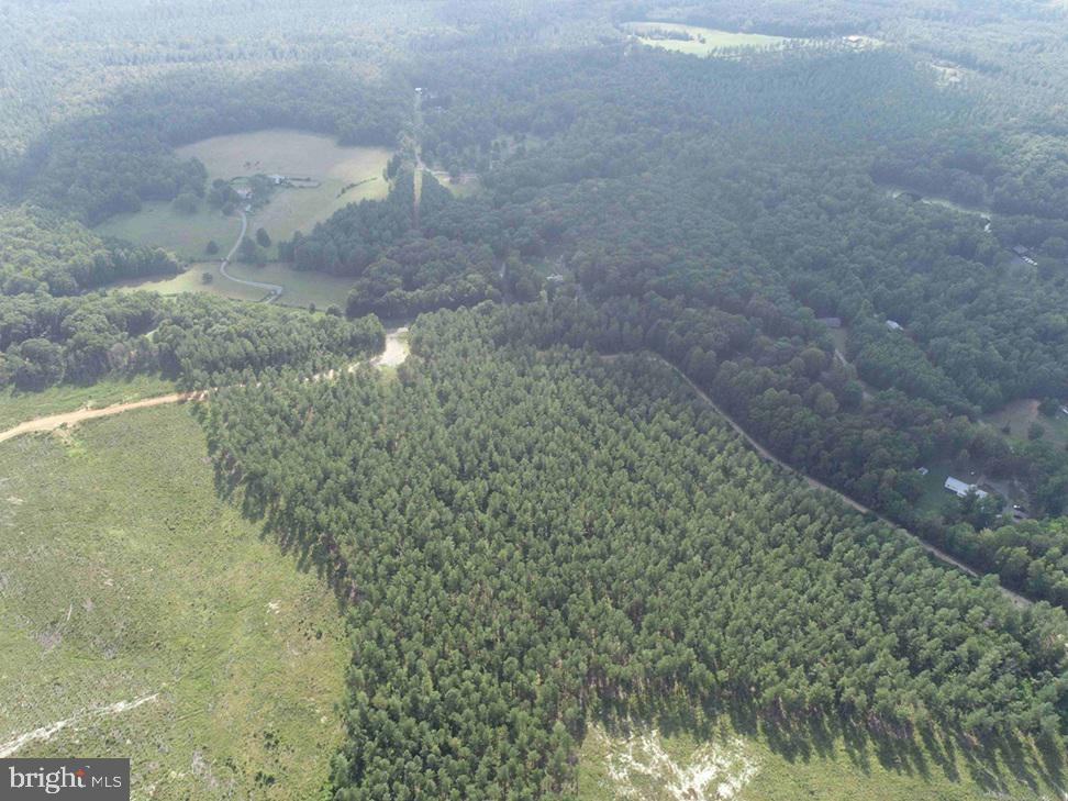 HOLLAND ROAD (TRACT: JR BEDFORD-BOWLES_SIMS-2)