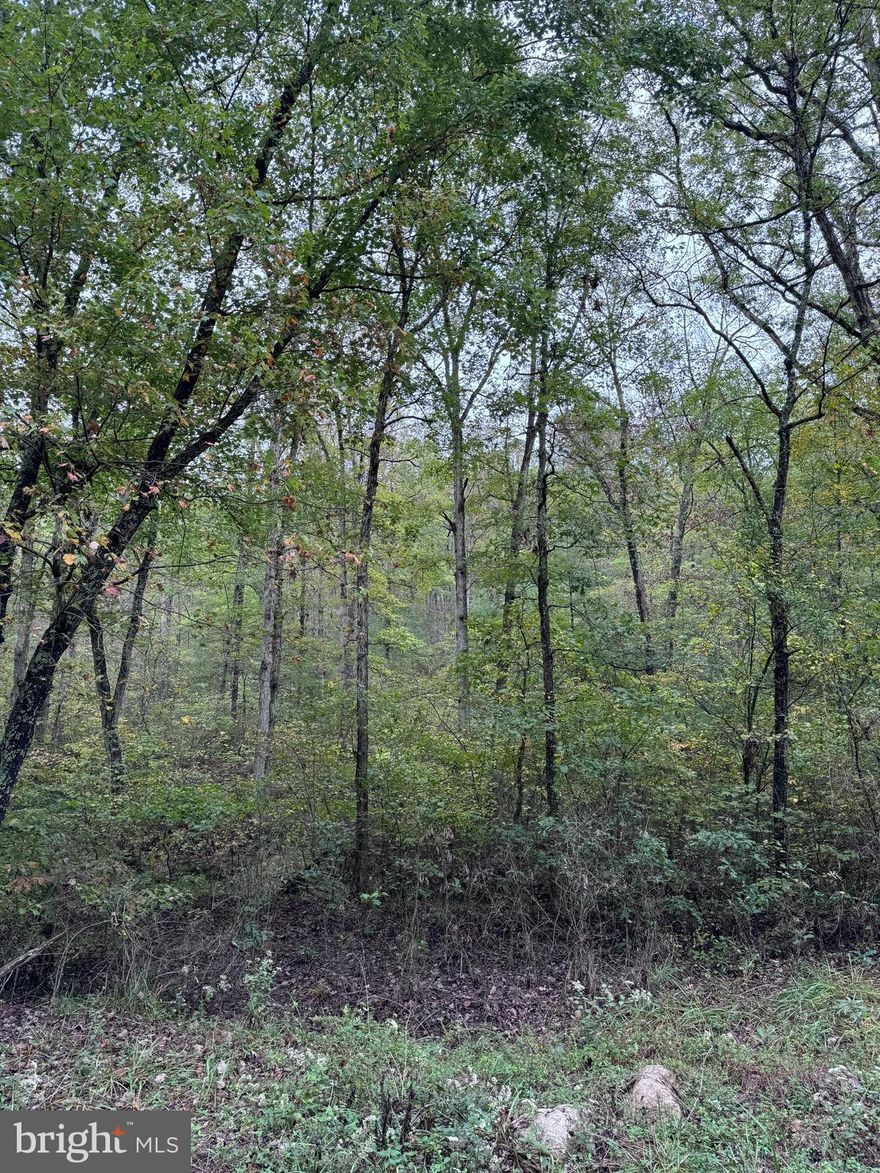 Mine Mountain Front Royal Land for Sale! Lot #16 spans roughly an acre, with the national forest as its backdrop. The community features three lakes and is meticulously maintained. Unlock your dream cabin or weekend retreat, ideal for hunting enthusiasts. Never had a perc test.
