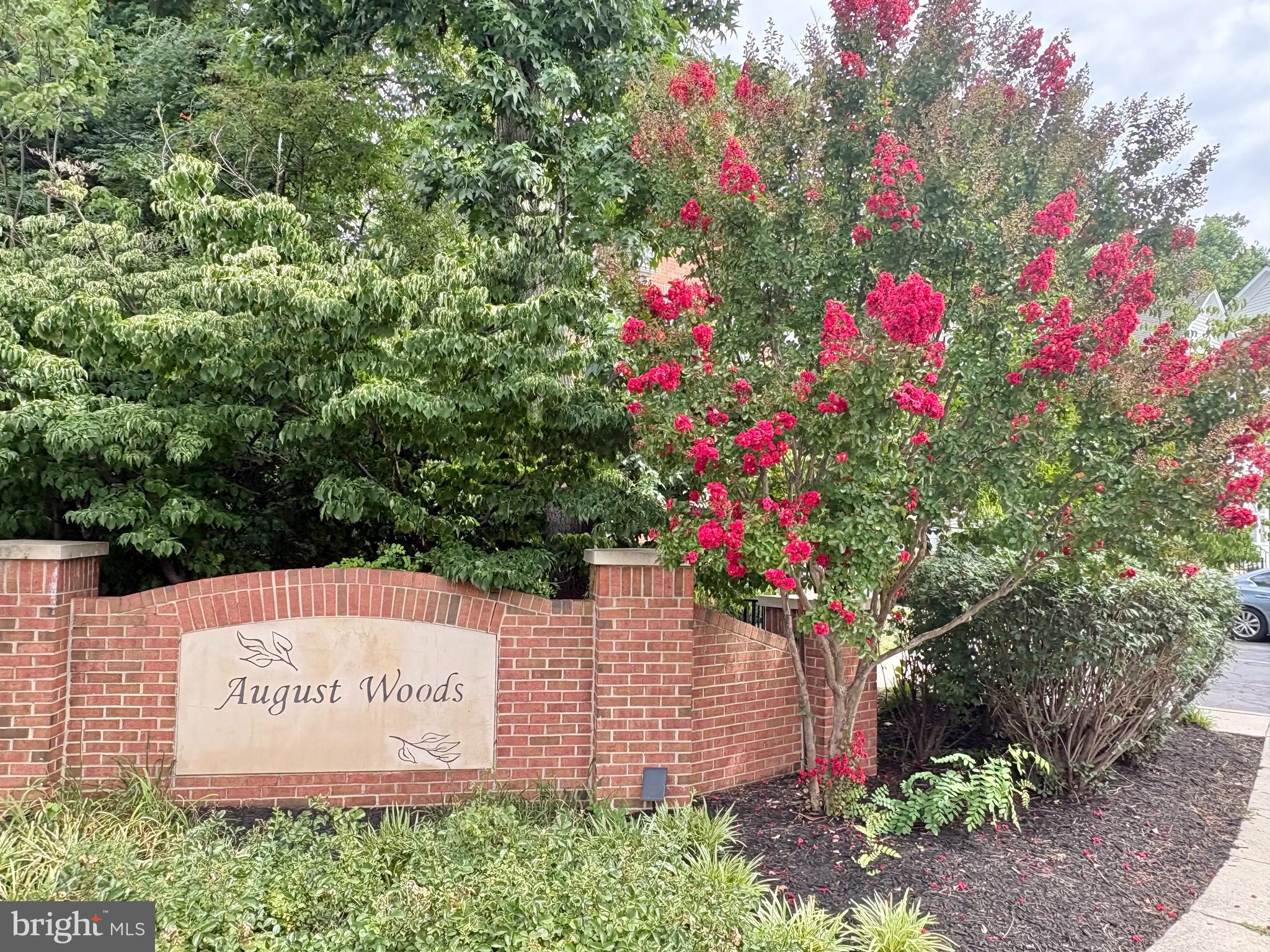 1146 AUGUST DRIVE