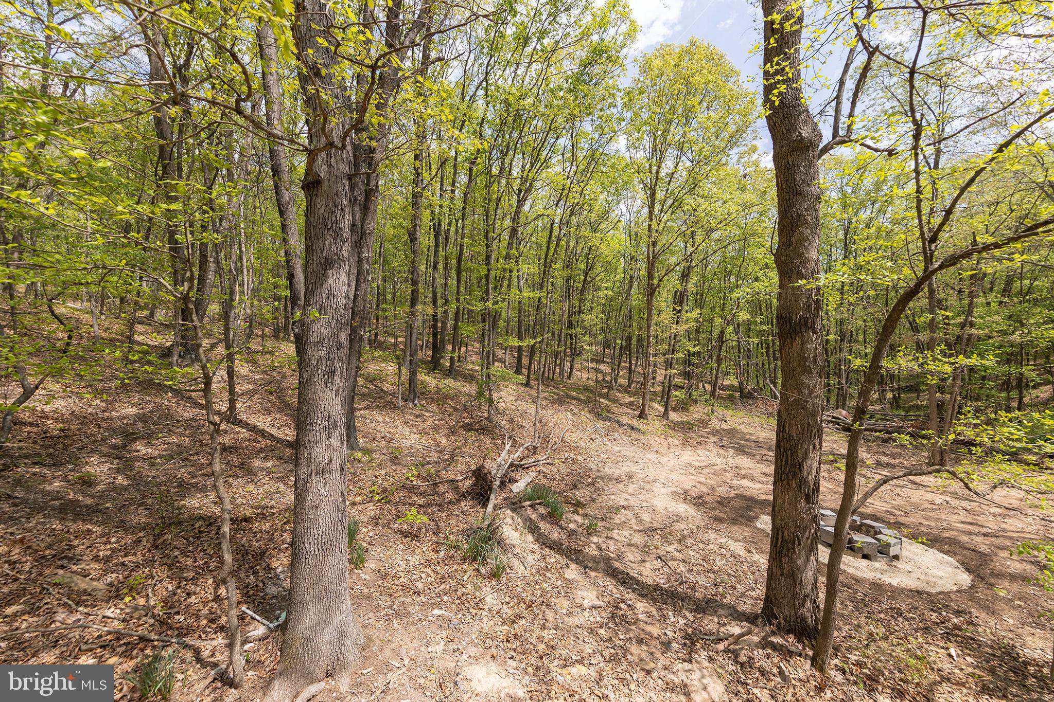 MOUNTAIN VIEW ESTATES - Residential