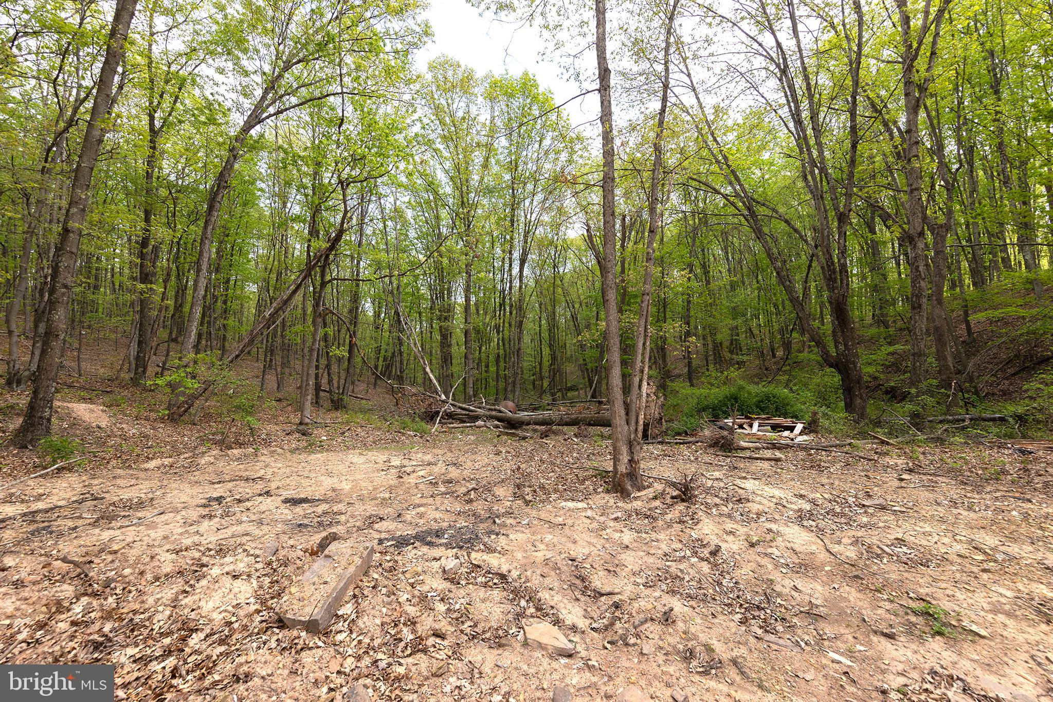 MOUNTAIN VIEW ESTATES - Residential