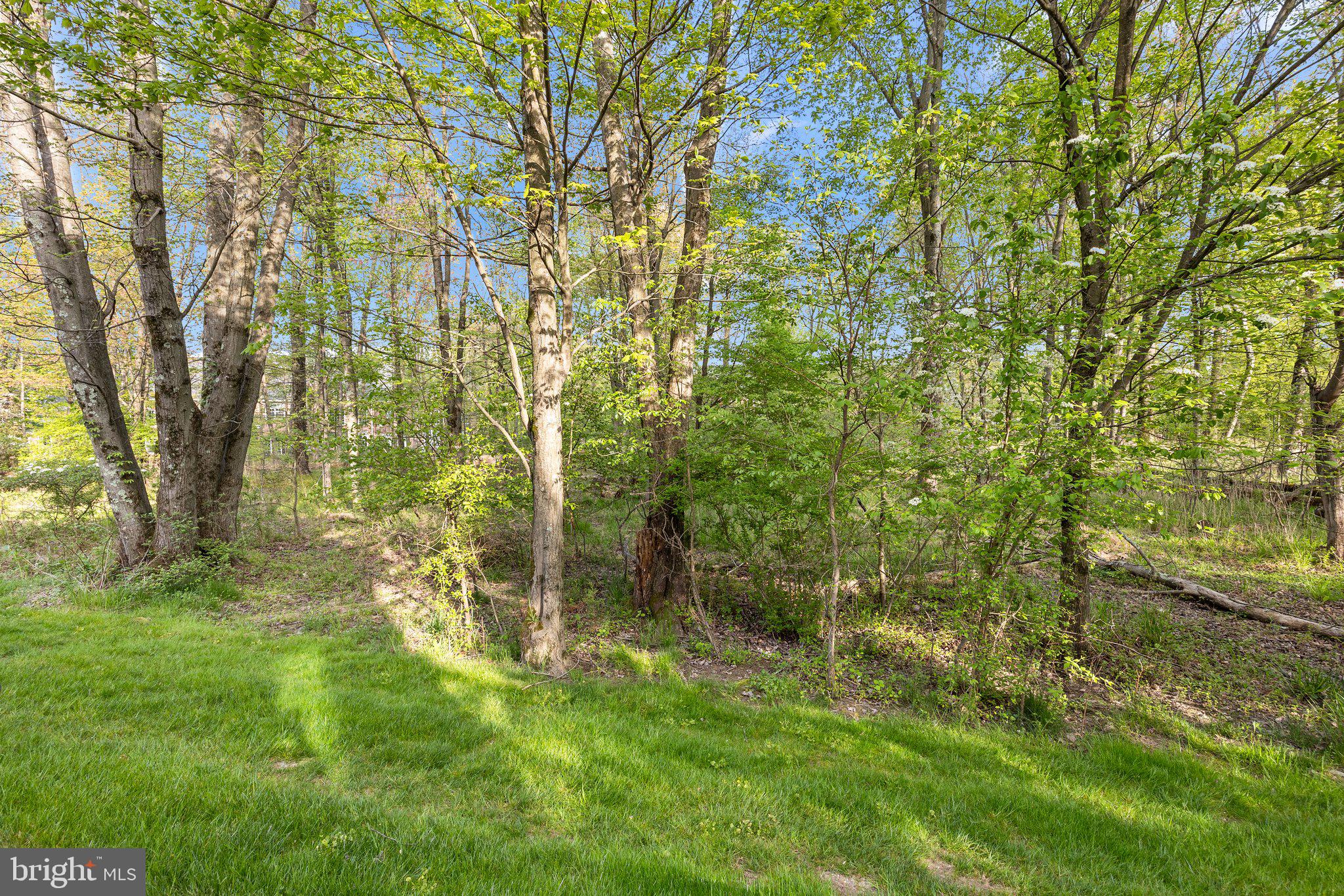 DELANCEY COURT - Residential