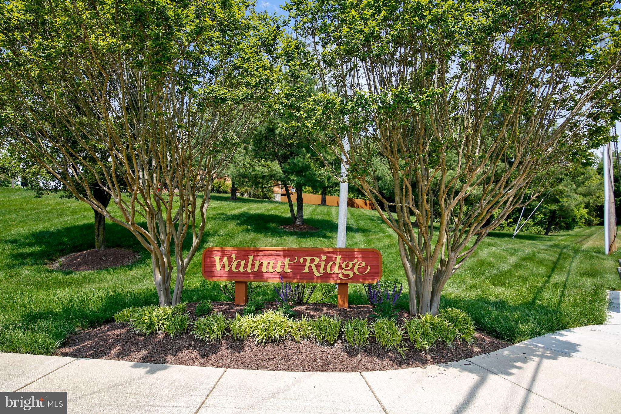 WALNUT RIDGE - Residential