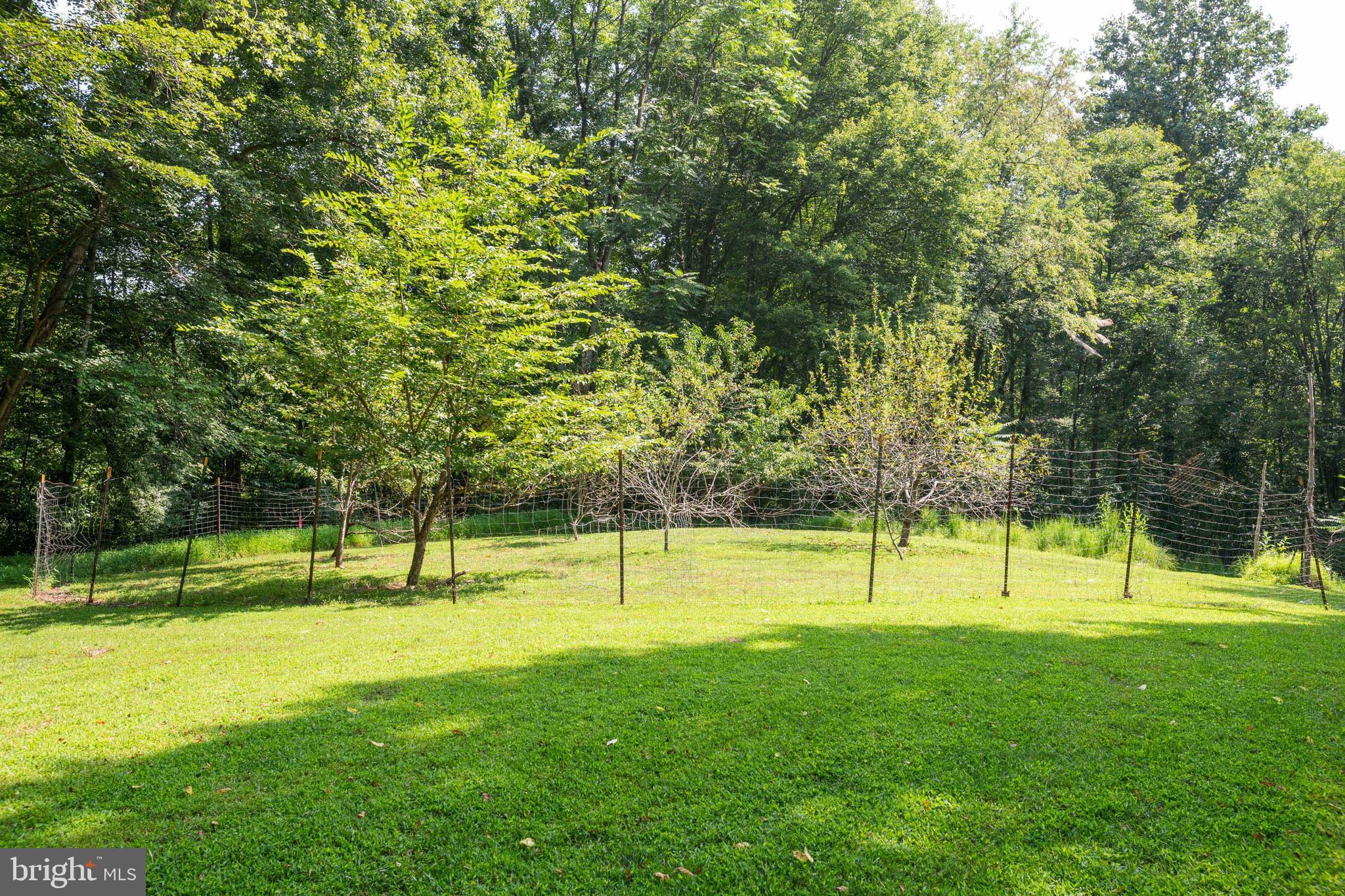 RUNNYMEADE FARM - Residential