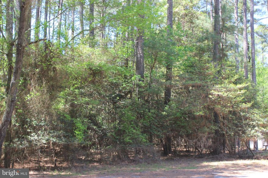 1/498 Oversized level wooded lot, 14,319 sq. ft. located on a quiet cul-de-sac road. Lot has water & sewer availability. Buy now and build later no builder Tie-In. Take advantage of this great buy! No time frame to build, just enjoy all the amenities and the lifestyle on the Eastern Shore of VA. Captains Cove is the Eastern Shore of Virginias fastest growing Golf & Waterfront community; close to Chincoteague Island, Wallops Island and Ocean City MD. HOA amenities : Pristine 9 Hole Golf, indoor/outdoor pools(2), fitness center, basketball & pickle ball courts, boat ramp, docks, playground, dog park, biking & walking trails, security and so much more. Ask about builders.