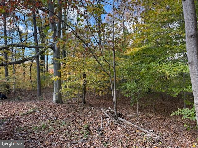 12 PLEASANT WOOD ROAD