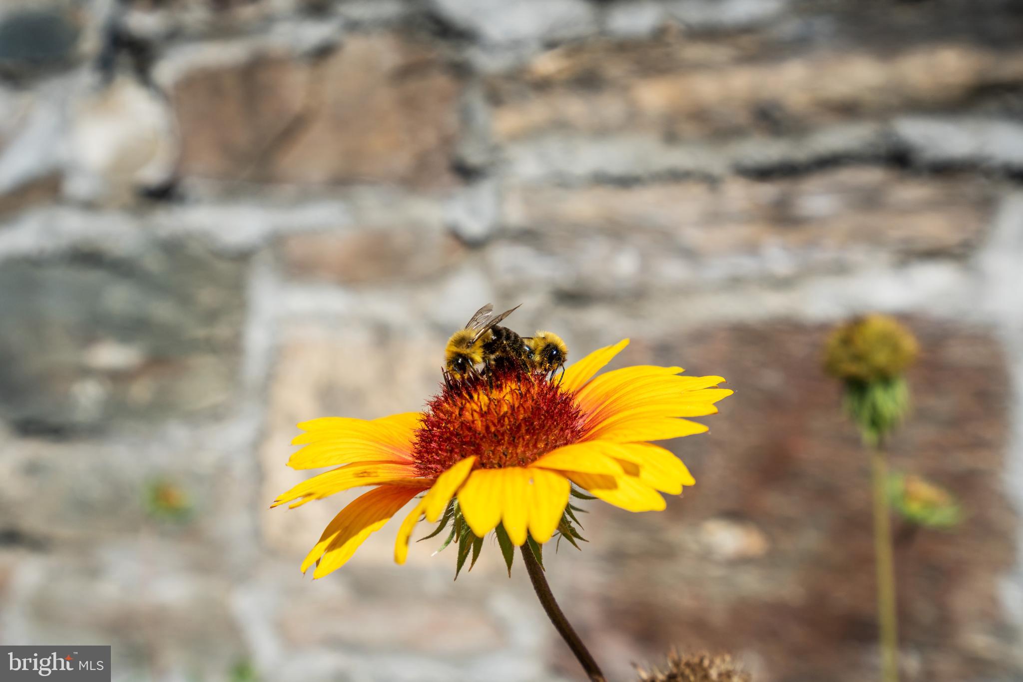 POTOMAC - Residential