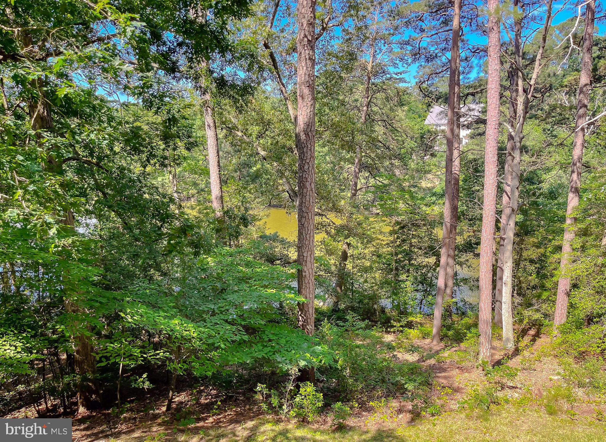 DRUM POINT - Residential