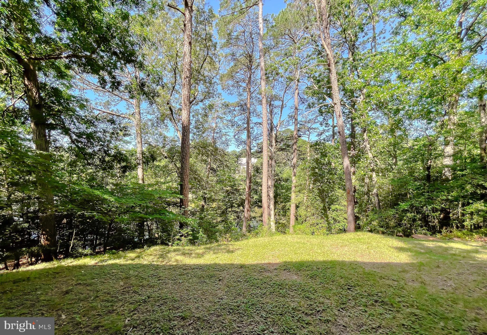 DRUM POINT - Residential