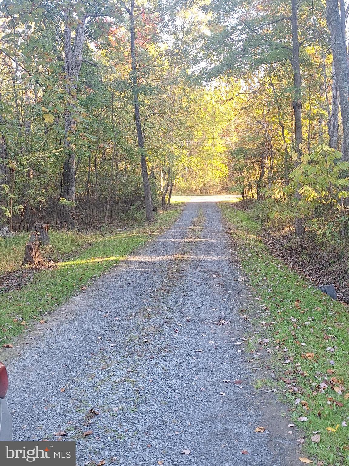 SHANNONDALE - Residential