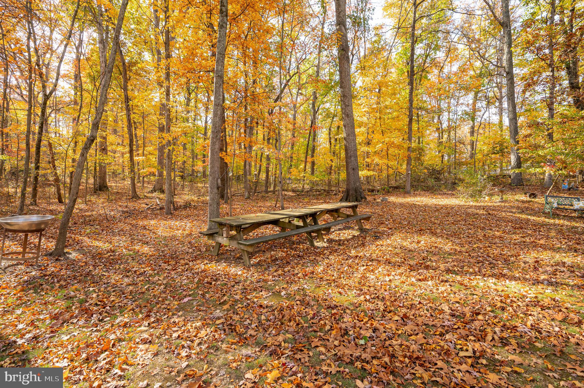 SHANNONDALE - Residential