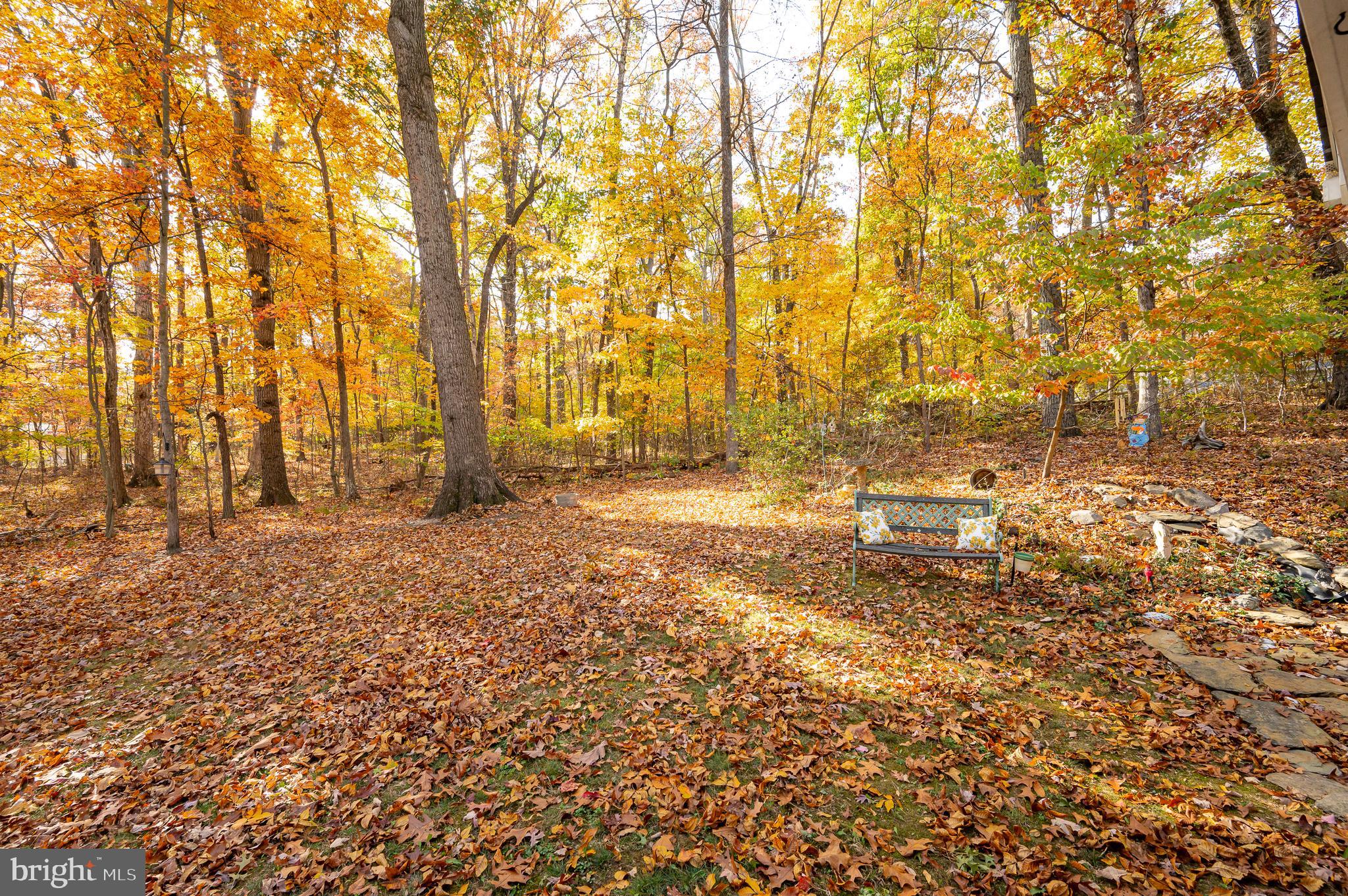 SHANNONDALE - Residential