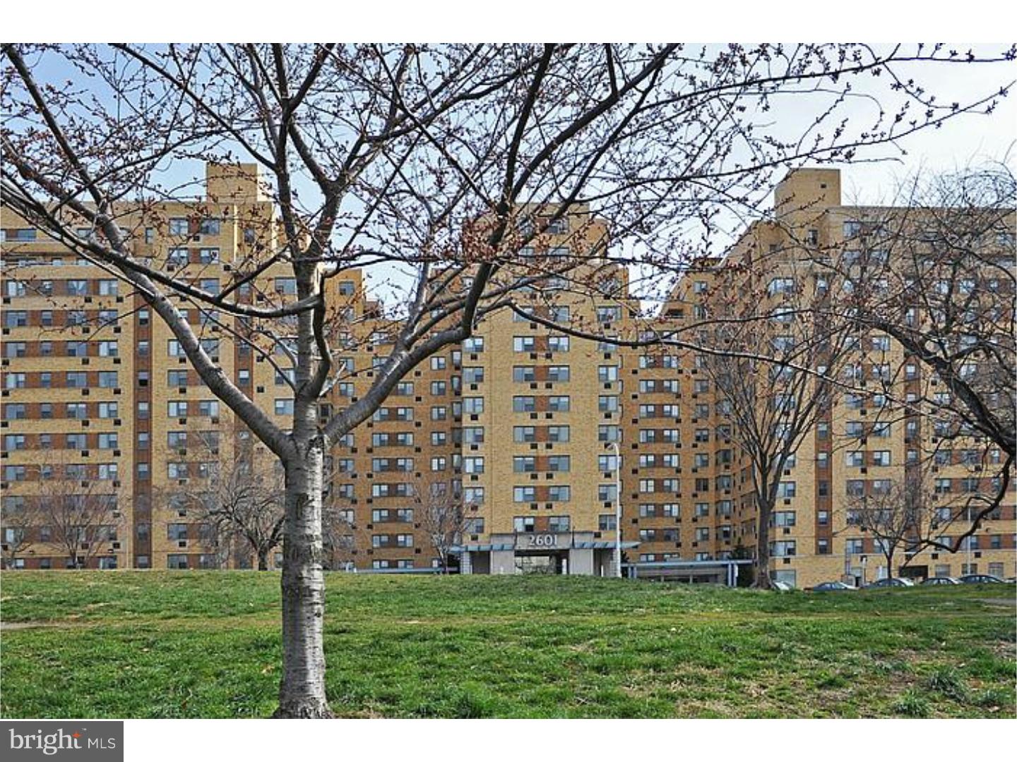 ART MUSEUM AREA - Residential