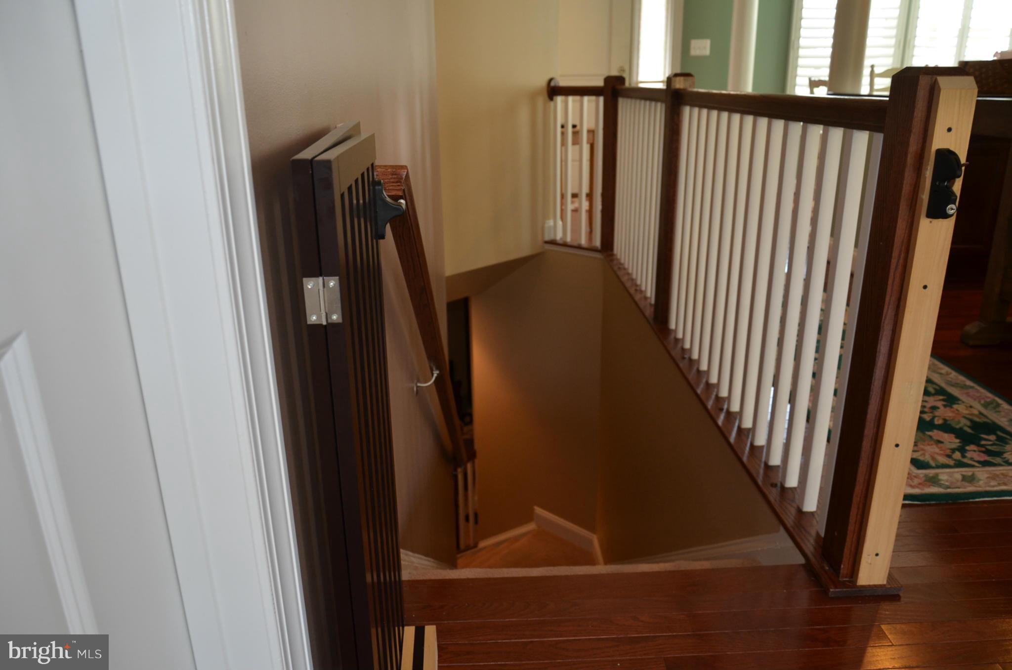 THE VILLAGES OF STEEPLECHASE - Residential