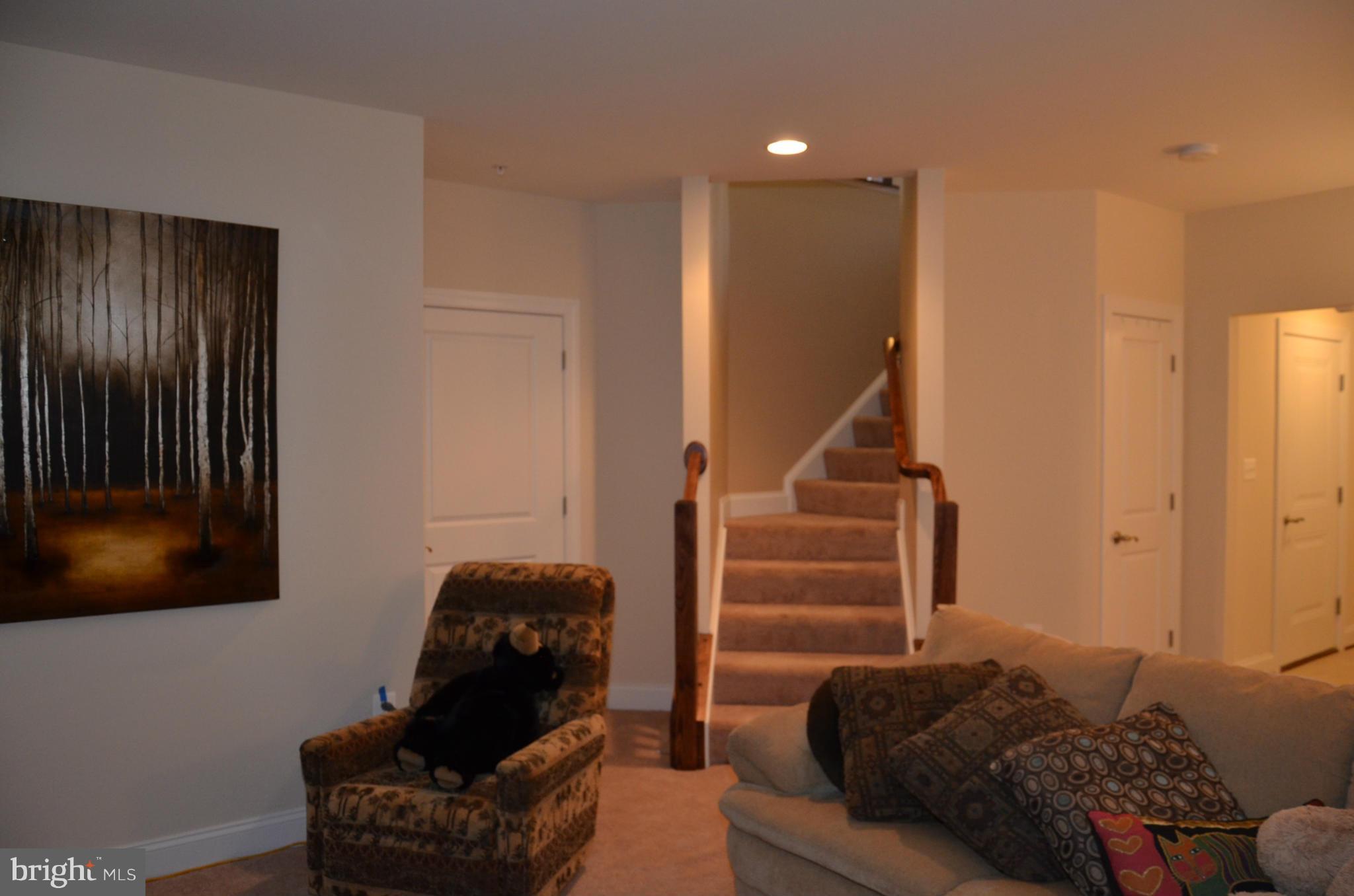 THE VILLAGES OF STEEPLECHASE - Residential