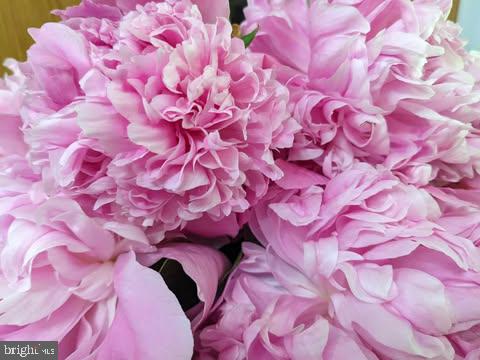 CANBY ROAD - Residential