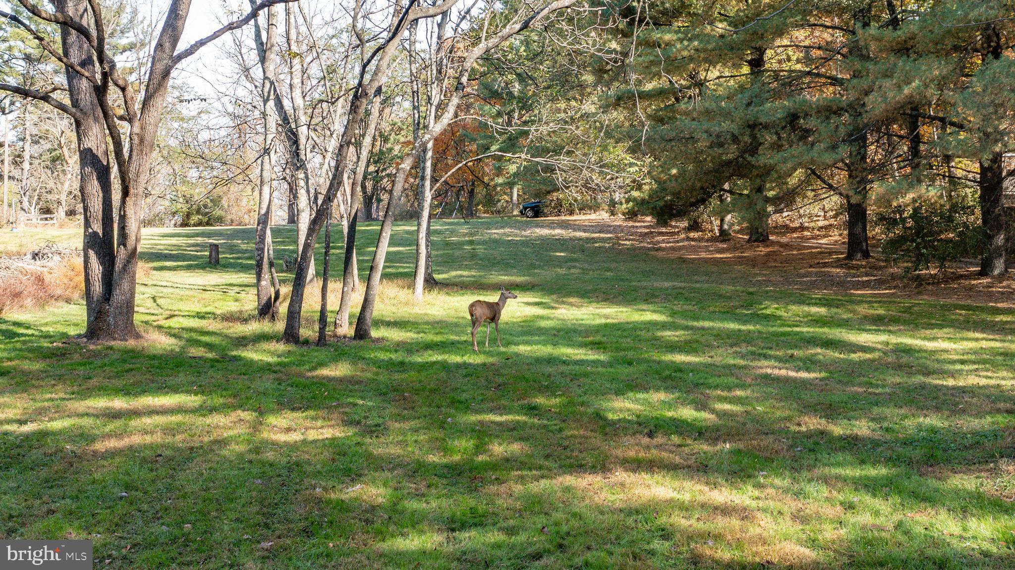 CANBY ROAD - Residential
