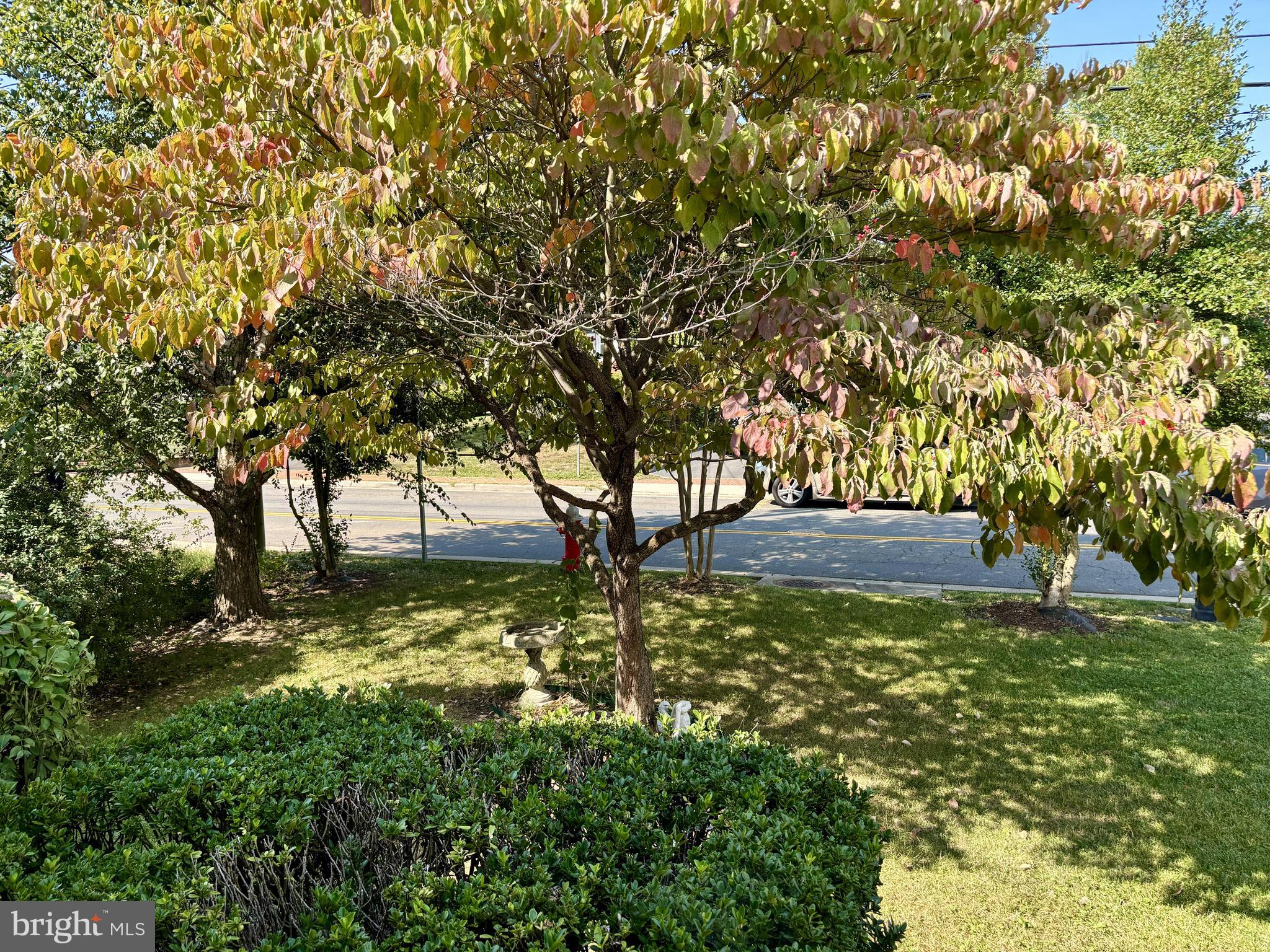 LOWENBACH - Residential Lease