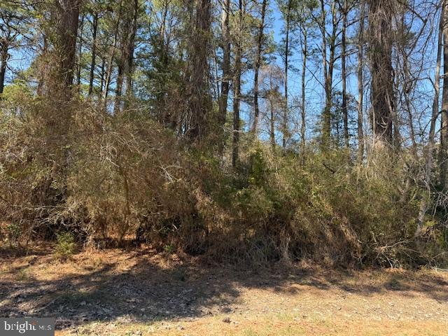 1/1102 Level, wooded lot with water & sewer availability and just minutes away from all the amenities. Buy now and build later, take advantage of this great buy! No time frame to build and No Builder Tie-in. Come and enjoy all the amenities and the lifestyle on the Eastern Shore of VA close to Chincoteague Island, Wallops Island and Ocean City MD. Captains Cove is the fastest growing Golf & Waterfront community on the Eastern Shore of VA. HOA amenities: Pristine 9 Hole Golf Course, indoor/outdoor pools (2), fitness center, tennis, pickle ball & basketball courts, playground, boat ramp, security, biking & walking trails, playground, security and more...Call today for more information.