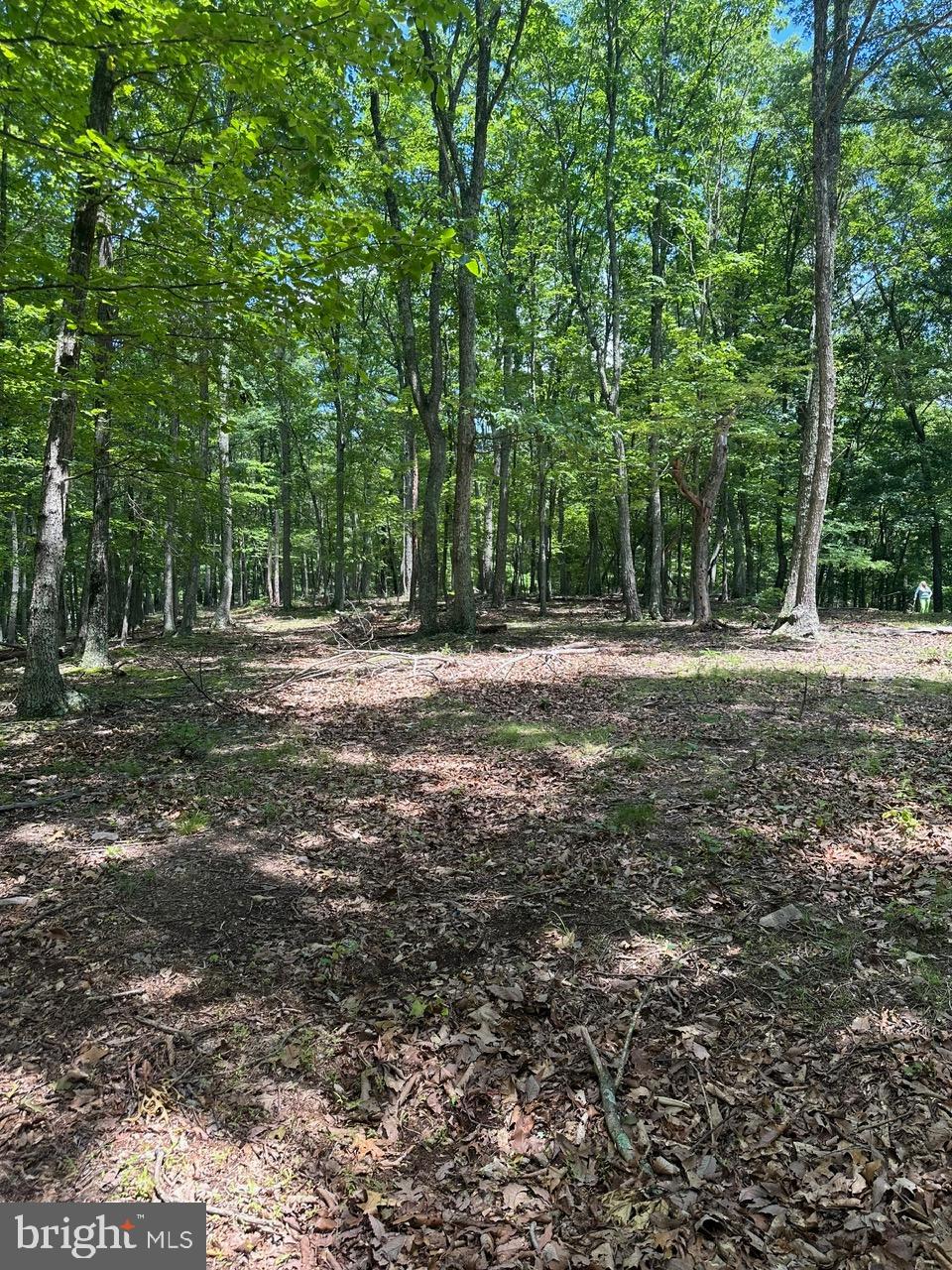 OWL HOLLOW CABINS - Residential