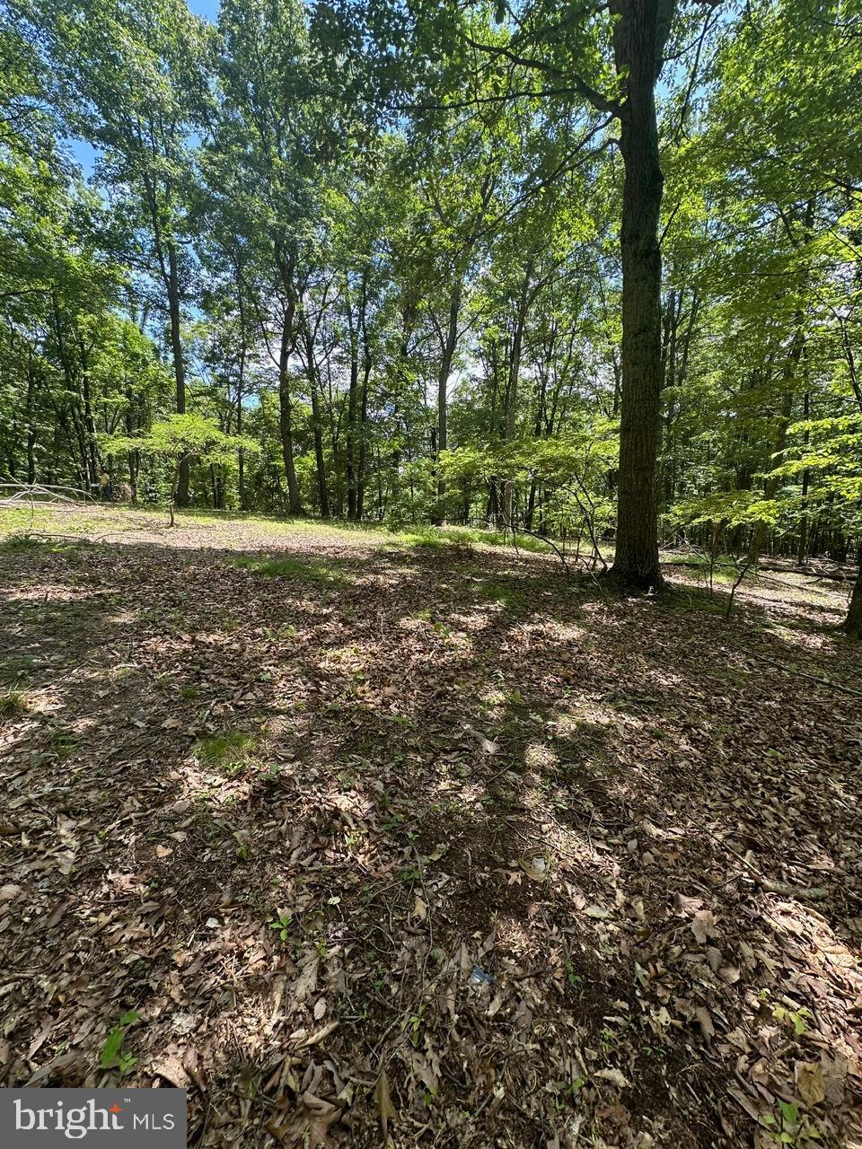 OWL HOLLOW CABINS - Residential