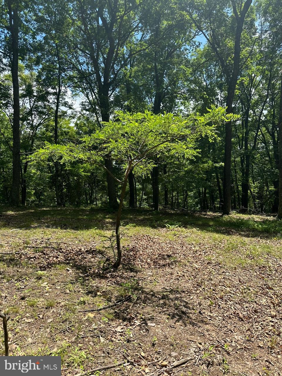 OWL HOLLOW CABINS - Residential