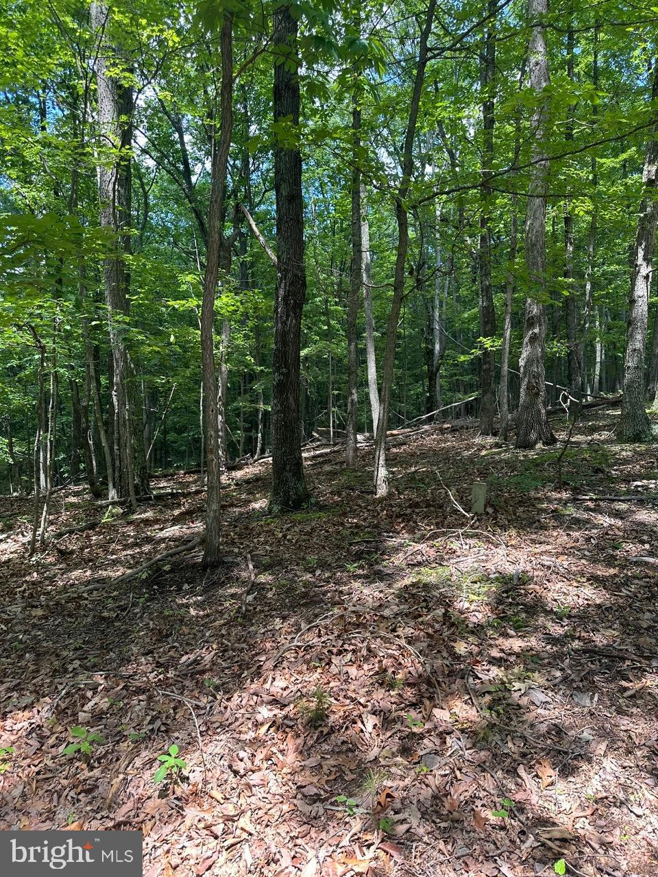 OWL HOLLOW CABINS - Residential