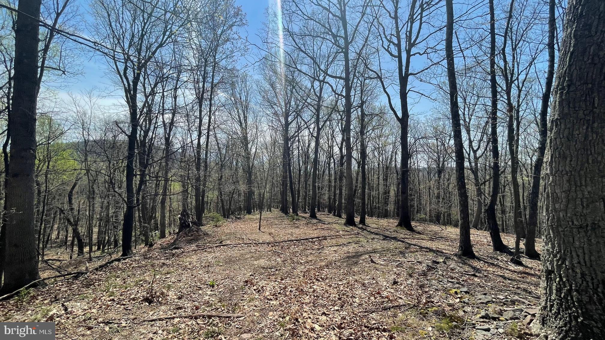 OWL HOLLOW CABINS - Residential