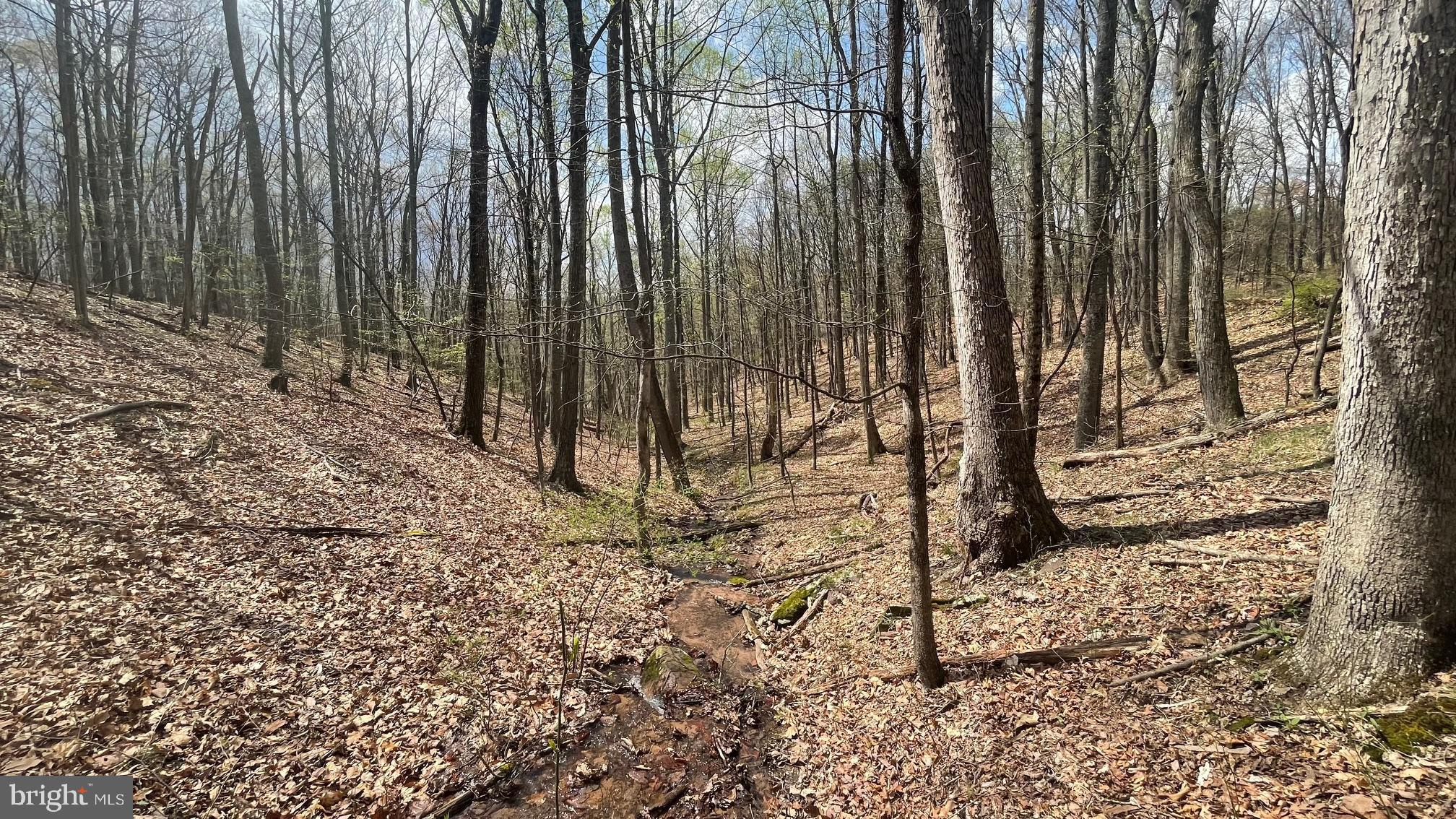OWL HOLLOW CABINS - Residential