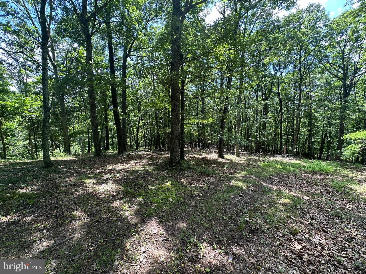 OWL HOLLOW CABINS - Residential
