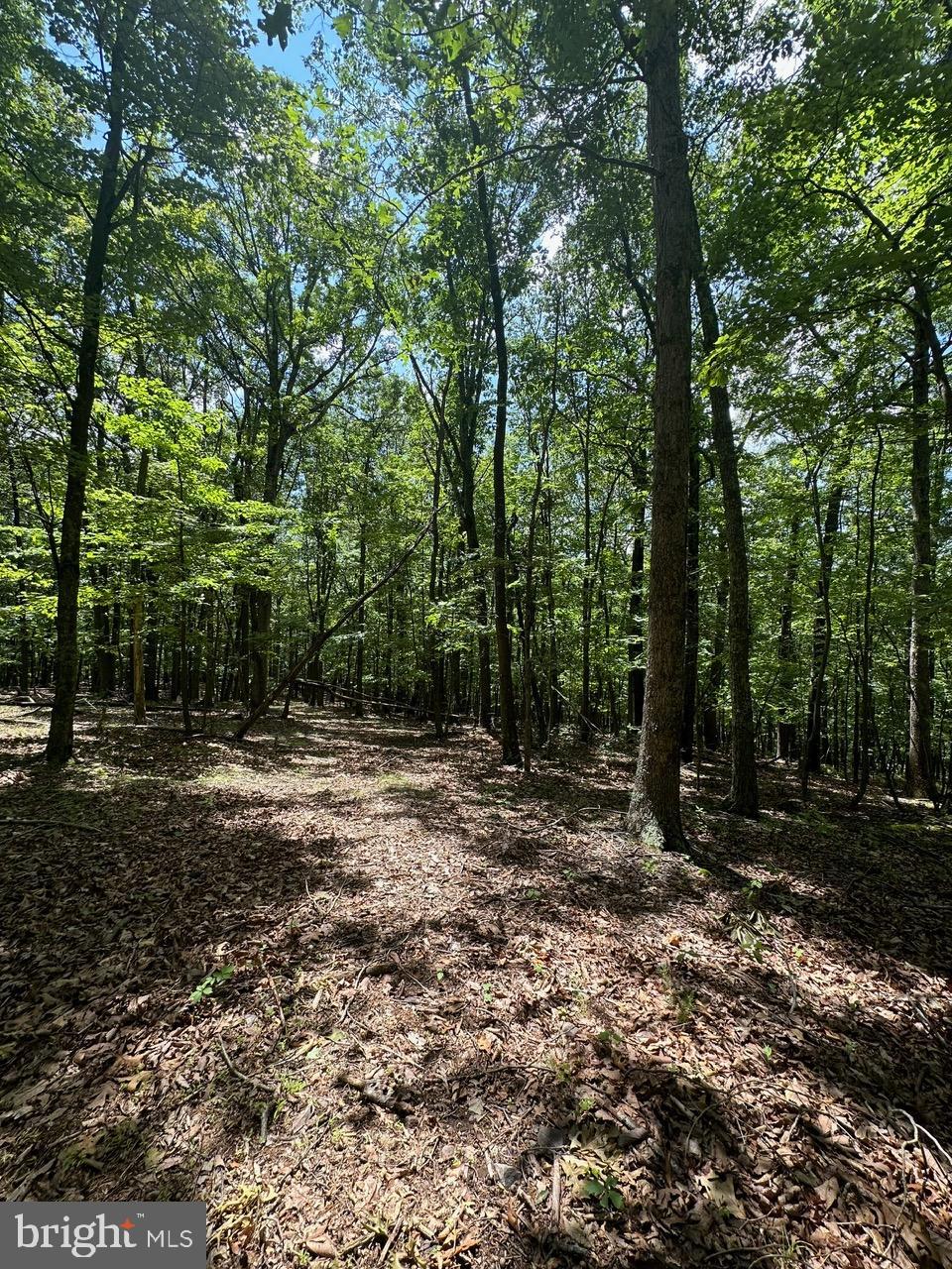 OWL HOLLOW CABINS - Residential