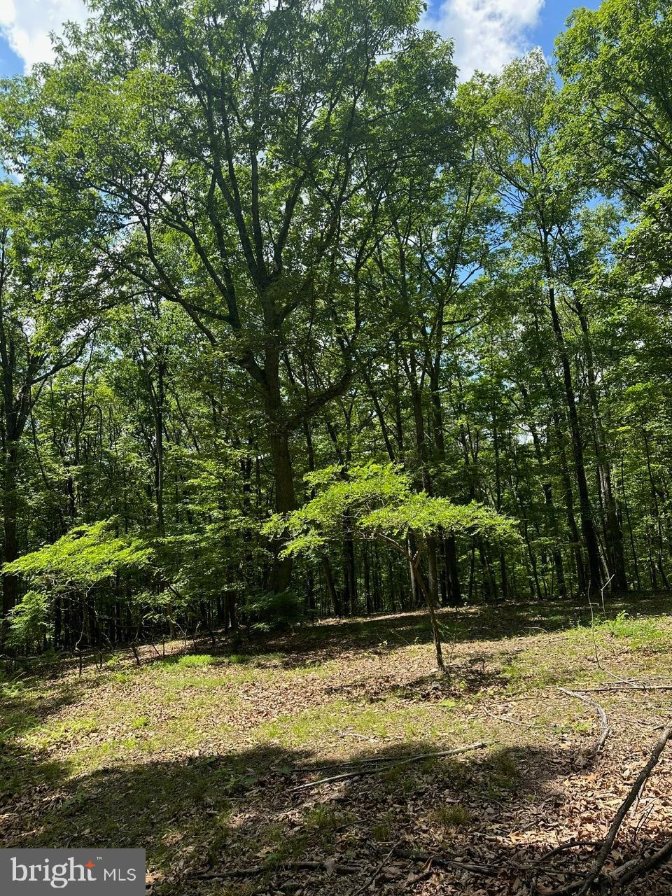 OWL HOLLOW CABINS - Residential