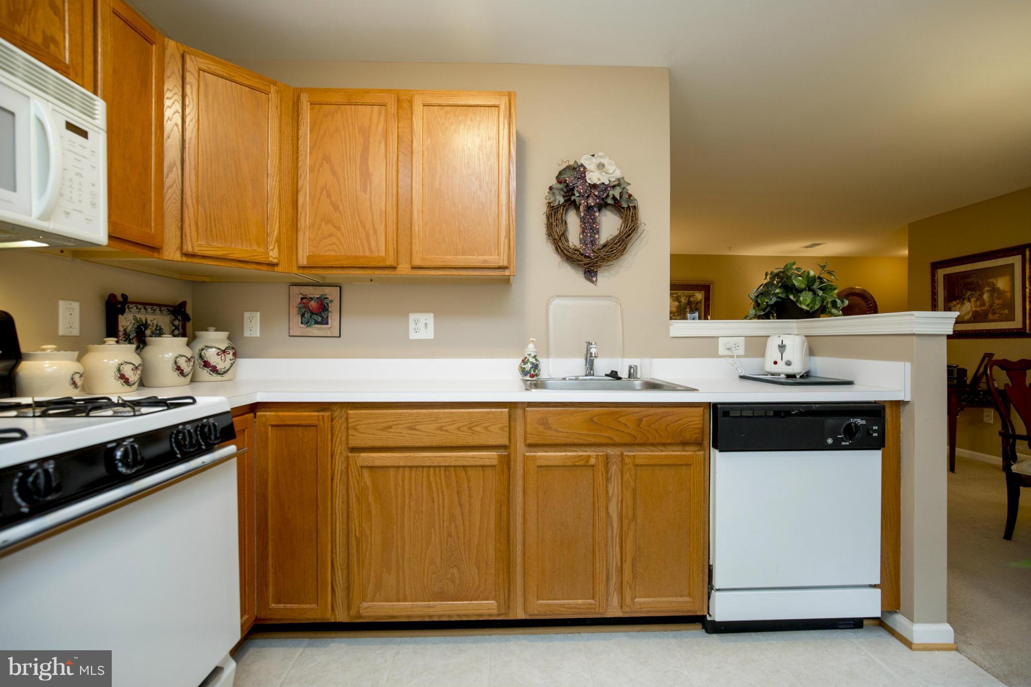 LEESBURG GATEWAY - Residential