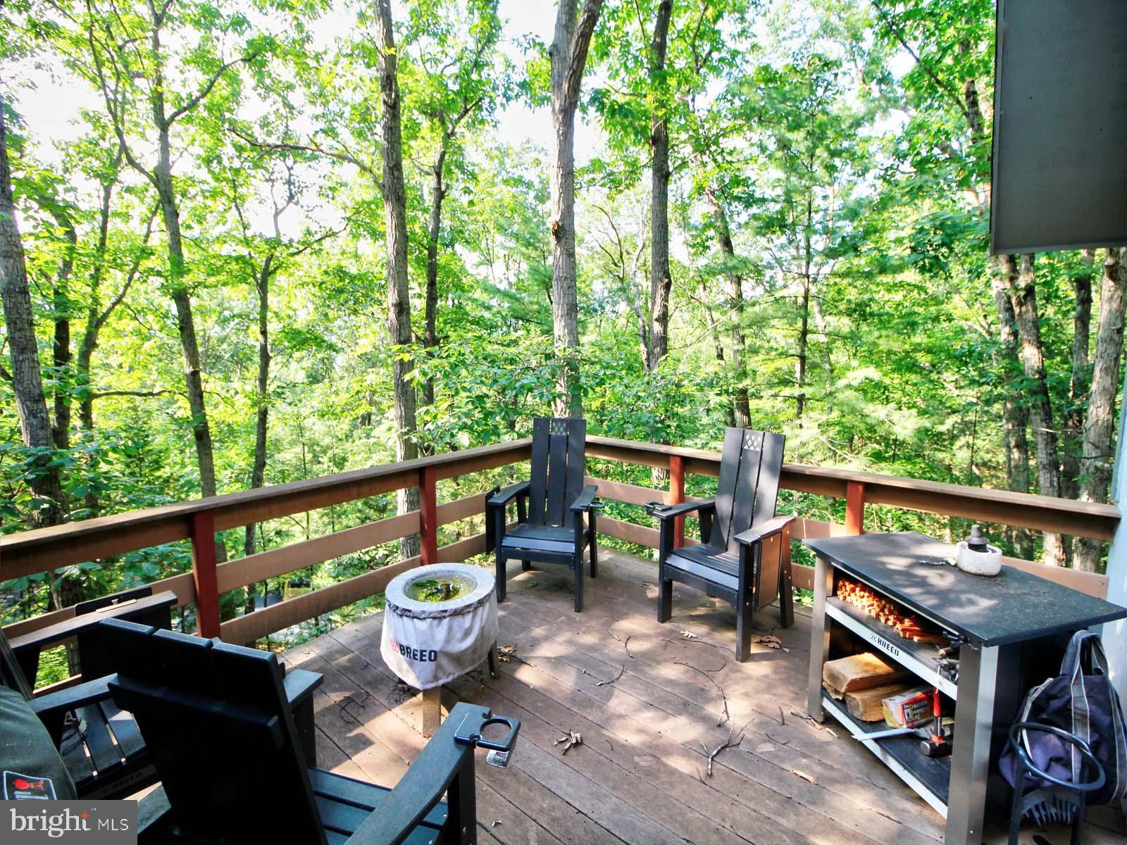 BRYCE  MOUNTAIN  RESORT - Residential