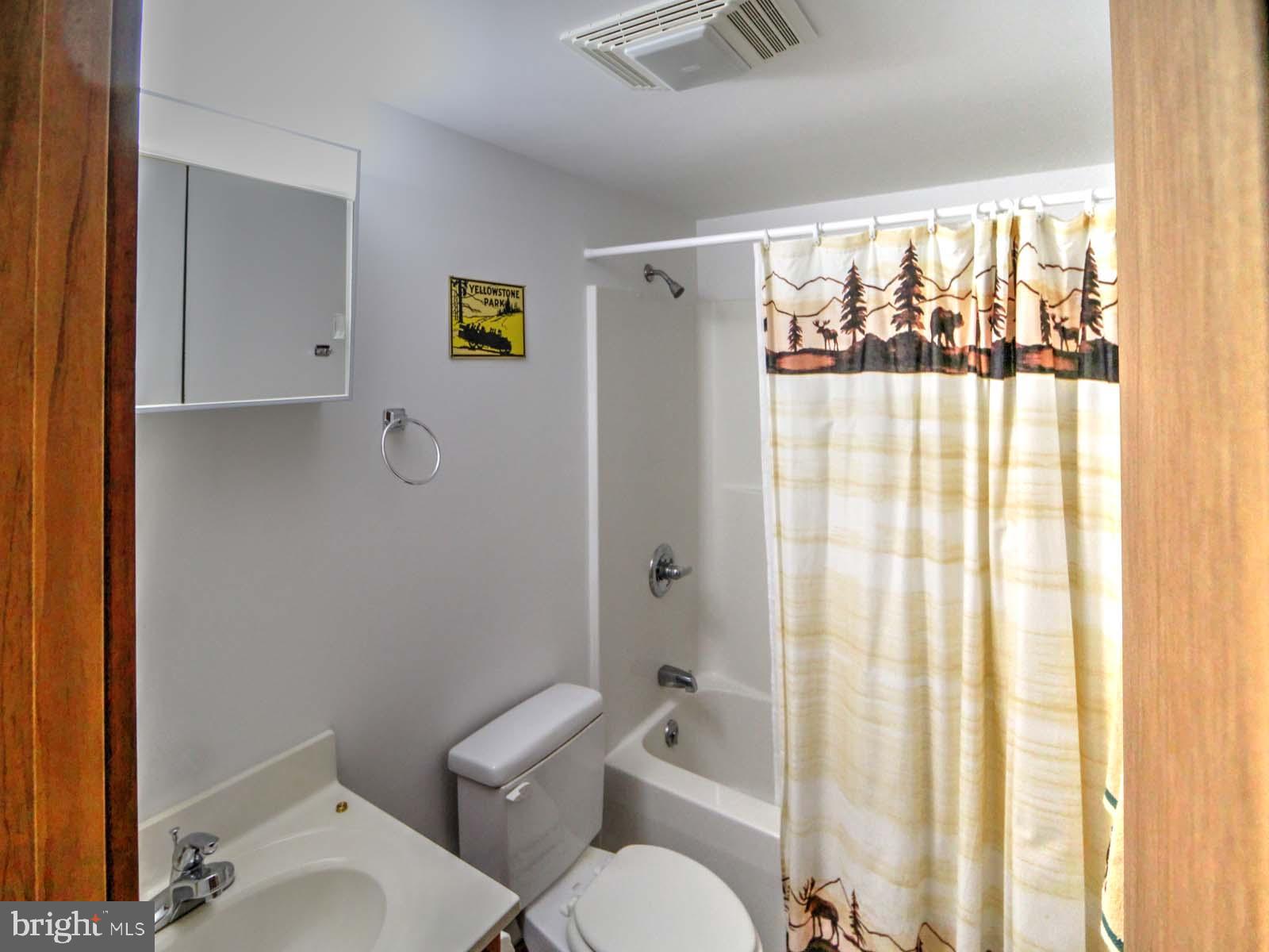 BRYCE  MOUNTAIN  RESORT - Residential