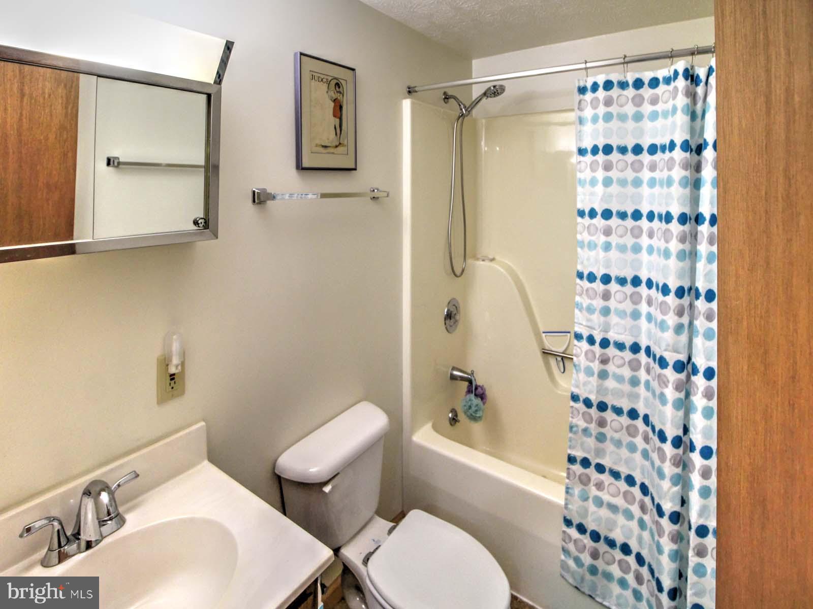 BRYCE  MOUNTAIN  RESORT - Residential